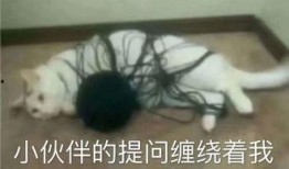 呆娃崩溃爆料视频,揭秘背后惊人真相